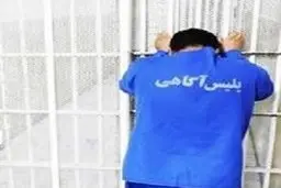  خفاش‌های غرب پایتخت بازداشت  شدند