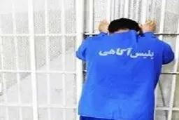  خفاش‌های غرب پایتخت بازداشت  شدند