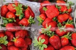 توت‌فرنگی کیلویی ۲۰۰ هزار تومانی در بازار تهران