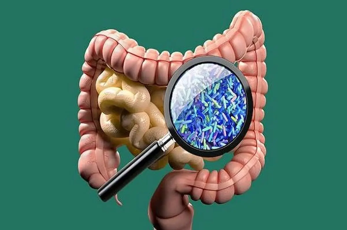 نقش میکروبیوم های روده در کووید ۱۹ و فواید پیشگیرانه پروبیوتیک ها