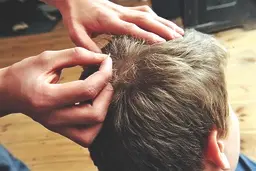 میهمان ناخوانده سر از نور فراری است