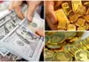 بیشترین جهش دلار در سه هفته اخیر | قیمت سکه و طلا چقدر شد؟