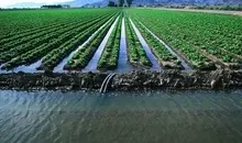 جزئیات مهم درباره اخبار جیره‌بندی آب در تهران