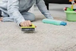 آموزش جمع کردن موهای سر و حیوان خانگی از روی فرش