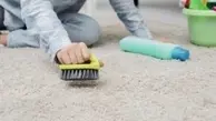 آموزش جمع کردن موهای سر و حیوان خانگی از روی فرش