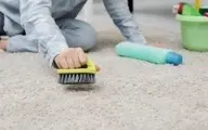 آموزش جمع کردن موهای سر و حیوان خانگی از روی فرش