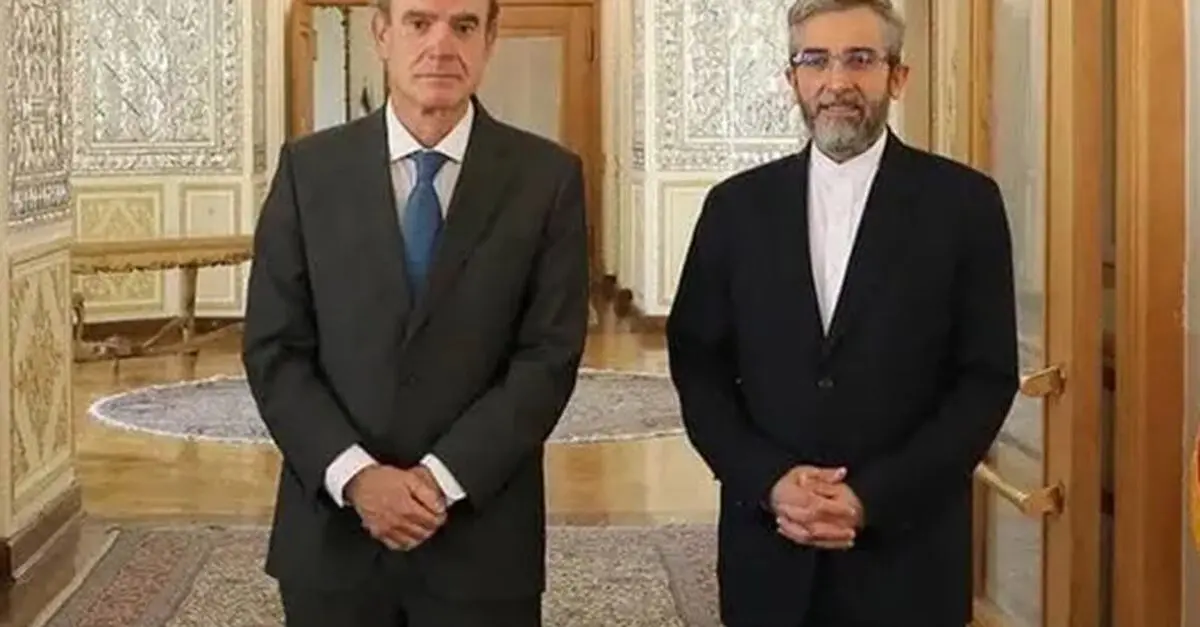تاریخ دقیق مذاکرات هفته بعد اعلام خواهد شد+جزئیات دیدار علی باقری  با مقامات اتحادیه اروپا 