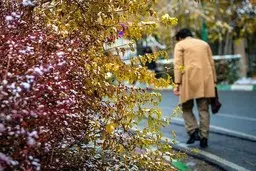 
دمای تهران فردا به صفر درجه می‌رسد
