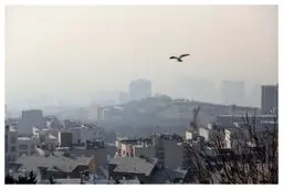 احتمال تعطیلی تهران در روز سه‌شنبه قوت گرفت  | مدارس تهران سه‌شنبه تعطیل می‌شود؟