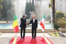 دیدار و رایزنی وزیران امور خارجه ایران و مالی در تهران