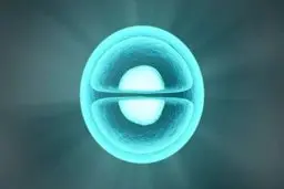 سلول‌هایی که می‌توانند استخوان جدید بسازند