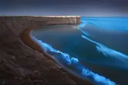 درخشش فیتوپلانکتون‌ها در ساحل ارتفاع بندر بریس چابهار + عکس