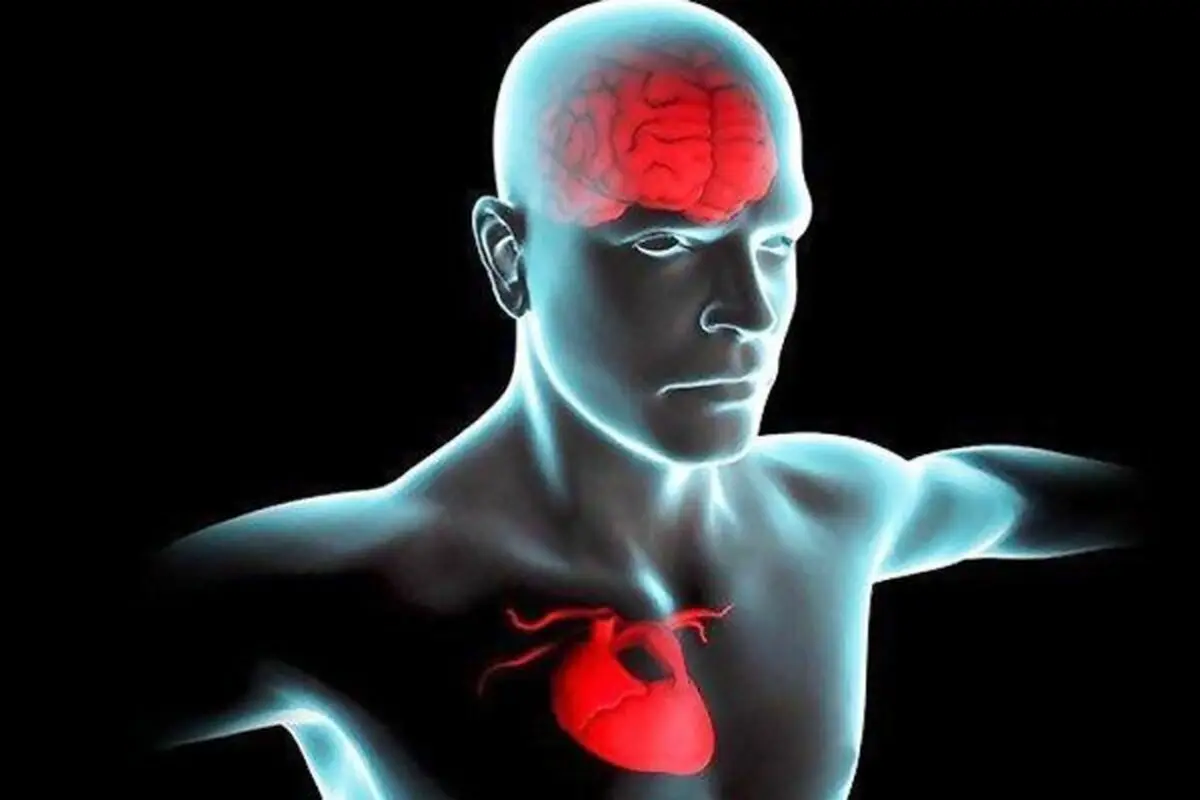 اگر به خاطر مشغله ذهنی فراموشکار هستید، بخوانید 