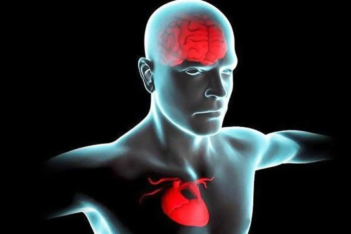 اگر به خاطر مشغله ذهنی فراموشکار هستید، بخوانید 