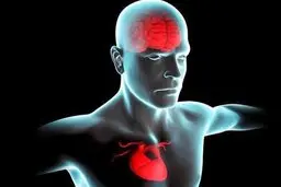 اگر به خاطر مشغله ذهنی فراموشکار هستید، بخوانید 