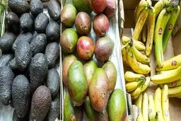 فائو: افزایش بی سابقه قیمت مواد غذایی در جهان