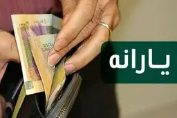 موضع شفاف وزیر کار درباره افزایش یارانه نقدی