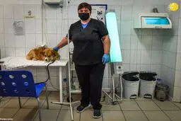 تعهد به کار علیرغم شیوع کرونا 