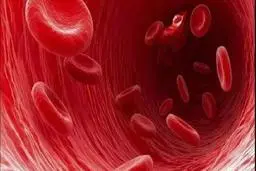 اطلاعاتی که شما را غافلگیر می کند + فیلم