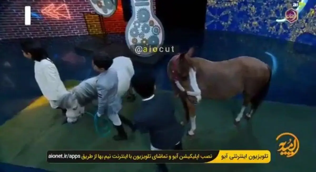 جذب مخاطب به سبک صدا و سیما | حضور اسب در برنامه‌ی تلویزیونی!+ویدئو 