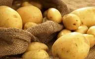 سیب زمینی ایران از ترکمنستان هم برگشت خورد