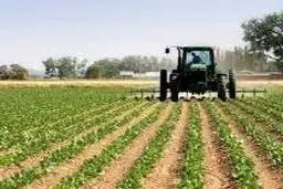  حمیدیه /داستان مجوز کشت برنج در خوزستان 