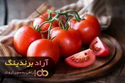 فرآروده گوجه مانند یک آسانسور من را به ‌سرعت به ثروت رساند 