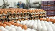 گرانی تخم مرغ در راه است | تخم مرغ به صد هزار تومان می‌رسد؟