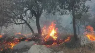 عدم همکاری هلیکوپترها برای اطفای حریق جنگل‌های شعله‌ور در آتش