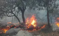 عدم همکاری هلیکوپترها برای اطفای حریق جنگل‌های شعله‌ور در آتش