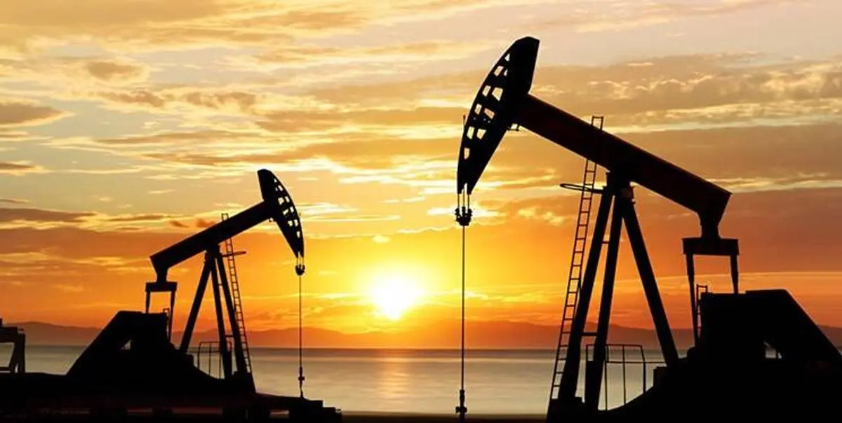 مجلس با فروش نفت کشور به اشخاص موافقت کرد

