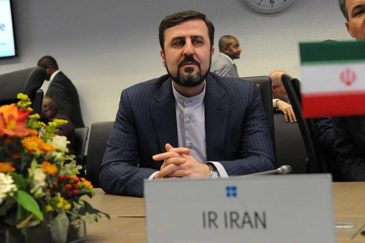 سفیر ایران نزد سازمان‌های بین المللی در وین اعلام کرد؛ 