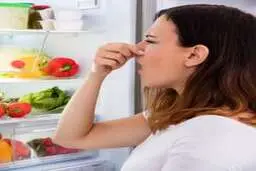 رفع بوی بد یخچال فریزر با بهترین ترکیبات خانگی