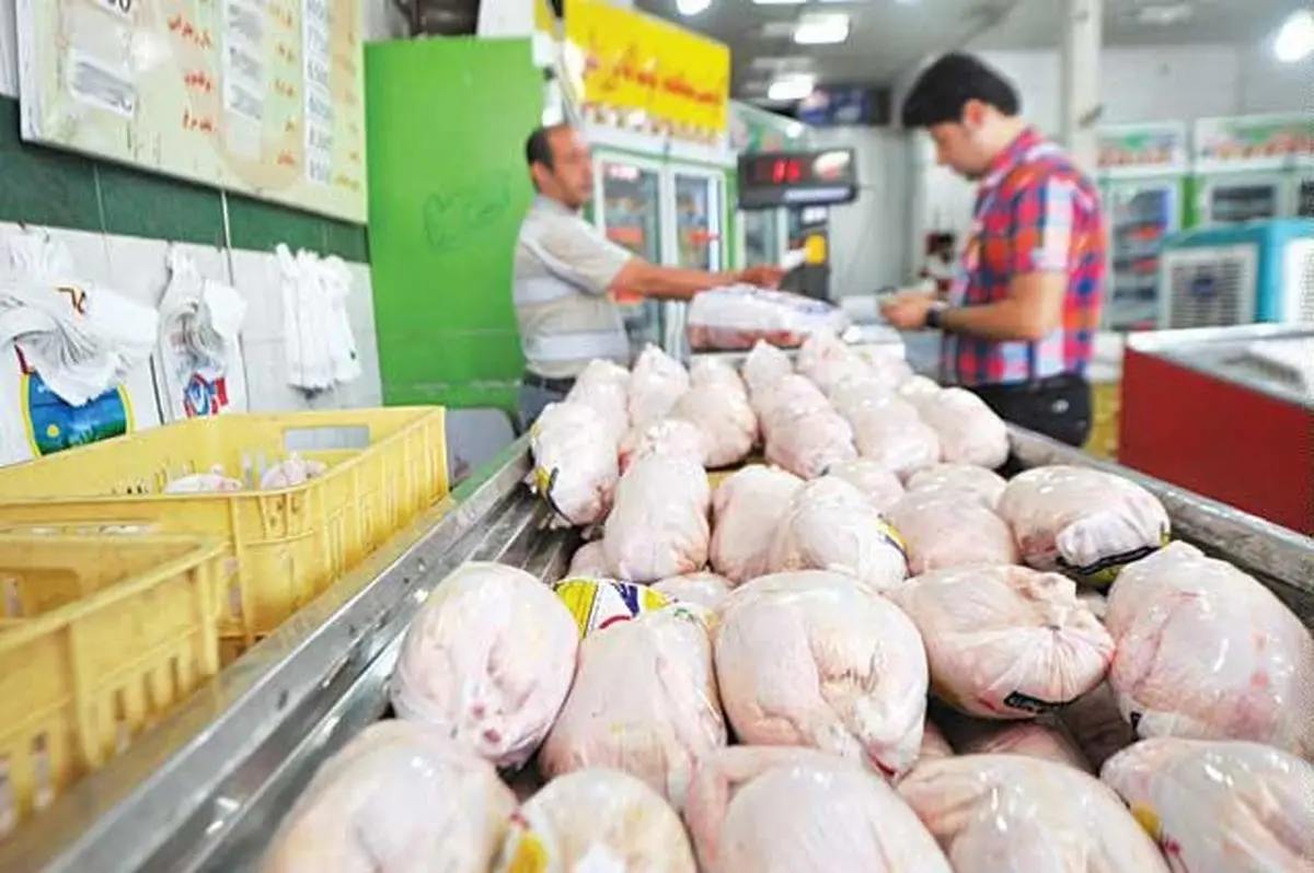 قیمت مرغ گرم در 15 خرداد | کاهش قیمت بر اساس نرخ مصوب | هر کیلو مرغ چند؟ + جدول