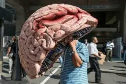 
مغز شما در مقایسه با سن تقویمی چند ساله است؟
