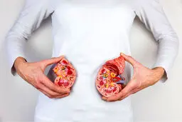 حفظ سلامت کلیه | راهنمای کامل برای یک رژیم غذایی برای داشتن کلیه سالم