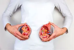 حفظ سلامت کلیه | راهنمای کامل برای یک رژیم غذایی برای داشتن کلیه سالم