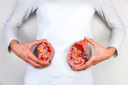 حفظ سلامت کلیه | راهنمای کامل برای یک رژیم غذایی برای داشتن کلیه سالم