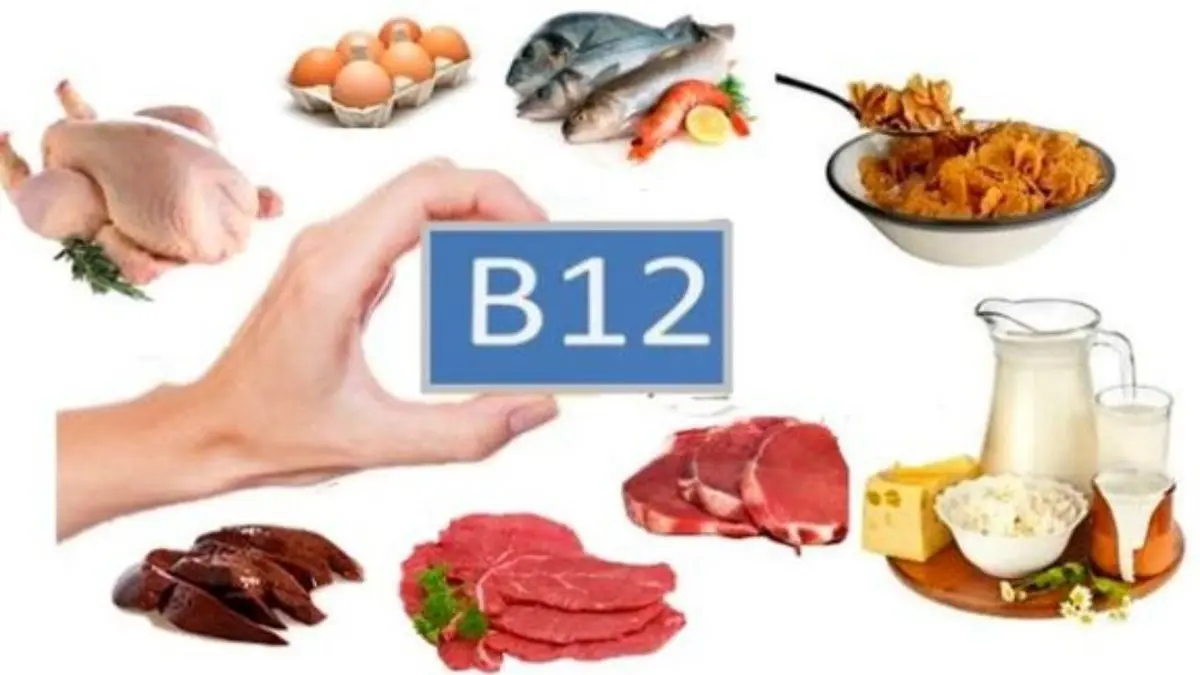 
فواید ویتامین B12  دربدن  | تشخیص کمبود ویتامین B12
