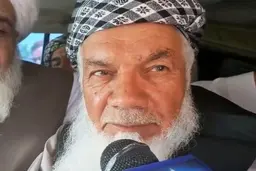 
طالبان، فرمانده بسیج مردمی علیه این گروه و چند مقام دولتی را در هرات به اسارت درآورد