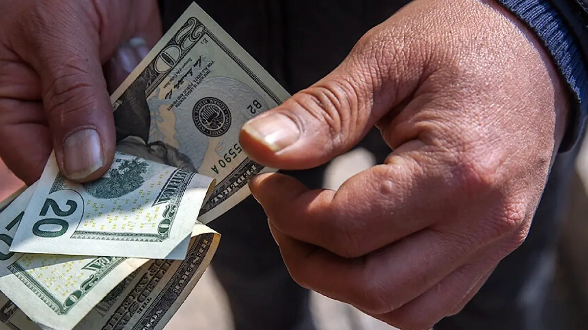 آثار حذف ارز ترجیحی؛ از کاهش قاچاق کالاهای اساسی تا رفع انحصار از واردات