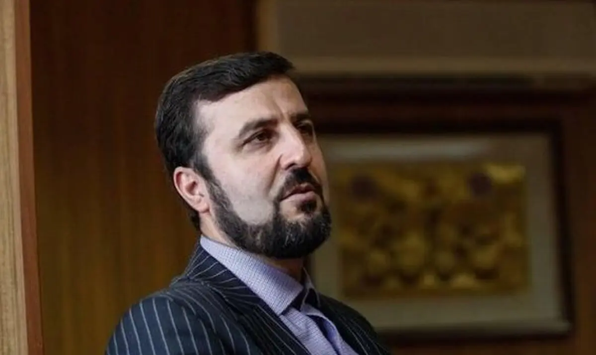 
غریب آبادی|هشدار غریب‌آبادی درباره افشای اطلاعات از سوی آژانس