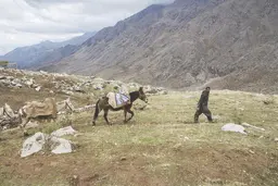 کولبری در روزهای کرونازده
