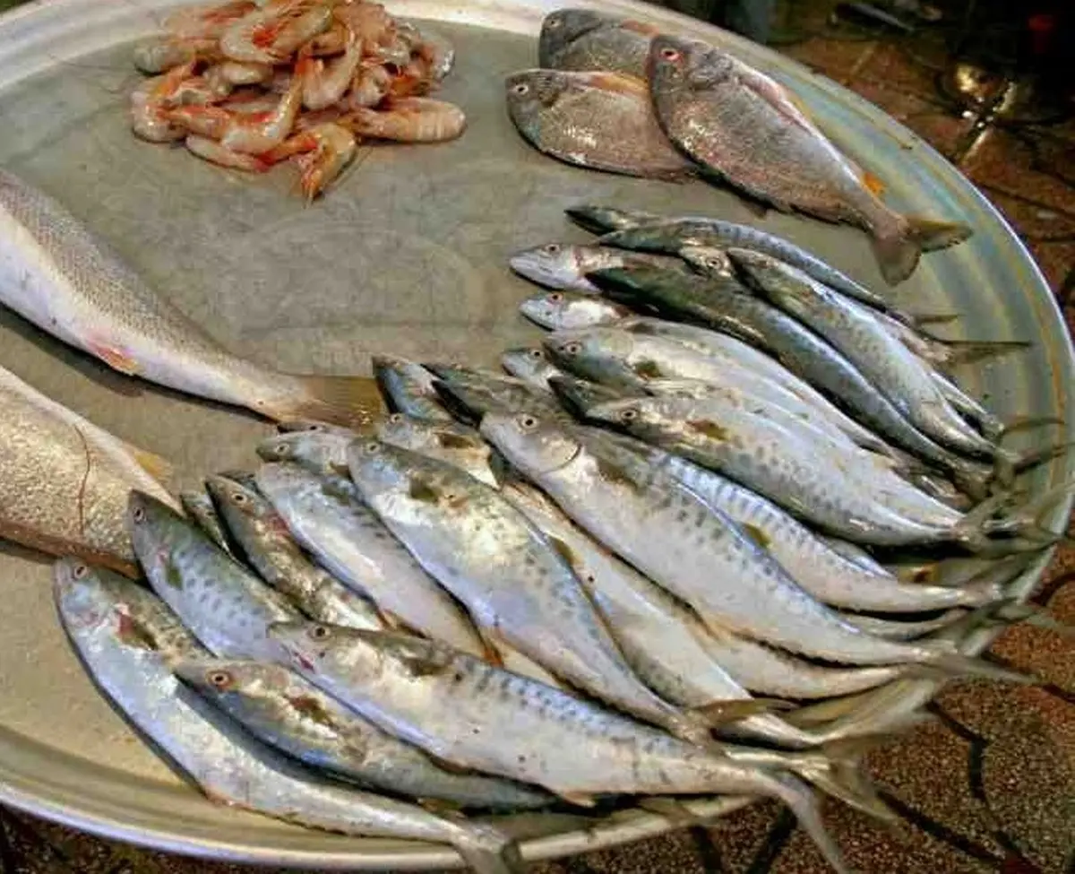 
امواج دریای خزر موجب افزایش قیمت ماهی شب عید در گلستان شد

