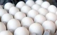 صادرات تخم مرغ تا زمان تعادل بازار ممنوع شد