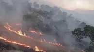 مهار آتش سوزی خائیز در حوزه کهگیلویه
