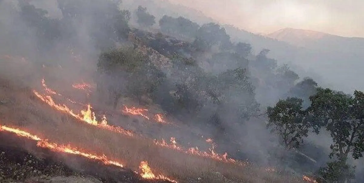 مهار آتش سوزی خائیز در حوزه کهگیلویه