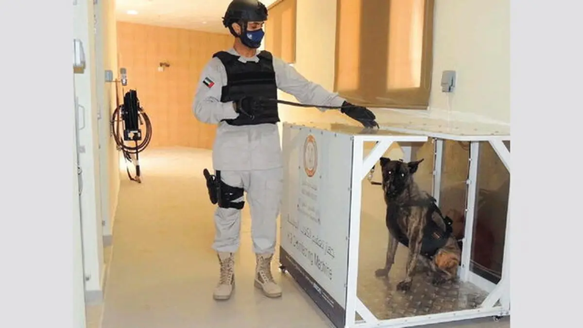 بکارگیریِ سگ‌های کرونایاب در فرودگاه ابوظبی 