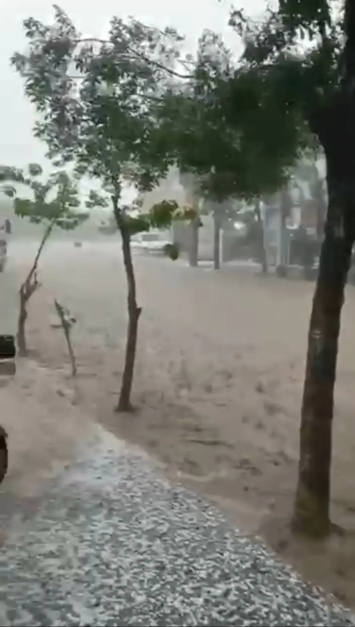 باران حیرت آور | امروز در آذربایجان غربی+ ویدئو