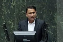 انتقاد شدید یک نماینده از ساده انگاری کرونا | دولت در تثبیت قیمت کالاهای اساسی تجربه خوبی ندارد